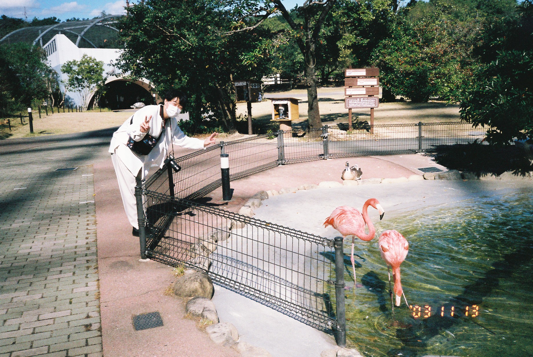 ishihara